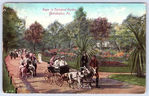 1912 zoological garden - 1912,